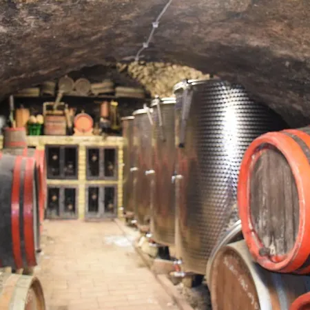 Bagdal Vino