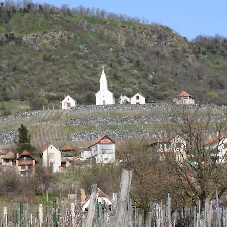 Bagdal Vino *