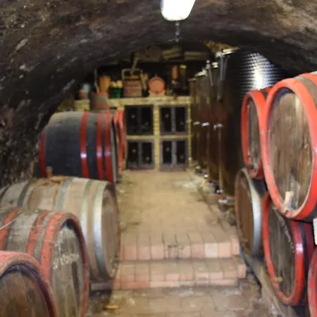 Pensiune Bagdal Vino Somlojeno